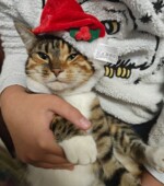 Baby 13.4.24 Svg+xml,%3Csvg%20xmlns%3D%22http%3A%2F%2Fwww.w3