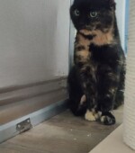 HAT Erzbergstr. Svg+xml,%3Csvg%20xmlns%3D%22http%3A%2F%2Fwww.w3