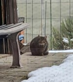 HAT Lichtenbruch Svg+xml,%3Csvg%20xmlns%3D%22http%3A%2F%2Fwww.w3