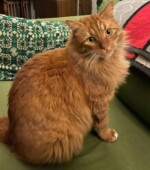 HAT Poststr.0157-31318254 Svg+xml,%3Csvg%20xmlns%3D%22http%3A%2F%2Fwww.w3