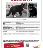 entlaufene Katzen Svg+xml,%3Csvg%20xmlns%3D%22http%3A%2F%2Fwww.w3