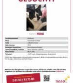 entlaufene Katzen Svg+xml,%3Csvg%20xmlns%3D%22http%3A%2F%2Fwww.w3