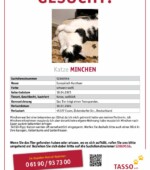 entlaufene Katzen Svg+xml,%3Csvg%20xmlns%3D%22http%3A%2F%2Fwww.w3