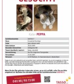 entlaufene Katzen Svg+xml,%3Csvg%20xmlns%3D%22http%3A%2F%2Fwww.w3