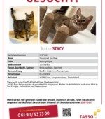 entlaufene Katzen Svg+xml,%3Csvg%20xmlns%3D%22http%3A%2F%2Fwww.w3