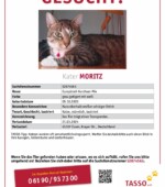 entlaufene Katzen Svg+xml,%3Csvg%20xmlns%3D%22http%3A%2F%2Fwww.w3