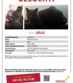 entlaufene Katzen Svg+xml,%3Csvg%20xmlns%3D%22http%3A%2F%2Fwww.w3