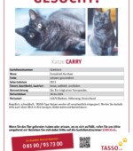 entlaufene Katzen Svg+xml,%3Csvg%20xmlns%3D%22http%3A%2F%2Fwww.w3