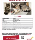 entlaufene Katzen Svg+xml,%3Csvg%20xmlns%3D%22http%3A%2F%2Fwww.w3