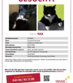 entlaufene Katzen Svg+xml,%3Csvg%20xmlns%3D%22http%3A%2F%2Fwww.w3