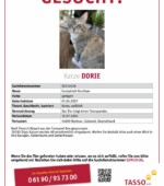 entlaufene Katzen Svg+xml,%3Csvg%20xmlns%3D%22http%3A%2F%2Fwww.w3