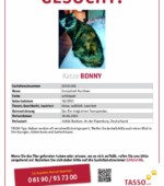 entlaufene Katzen Svg+xml,%3Csvg%20xmlns%3D%22http%3A%2F%2Fwww.w3