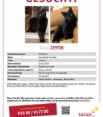 entlaufene Katzen Svg+xml,%3Csvg%20xmlns%3D%22http%3A%2F%2Fwww.w3