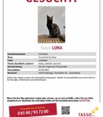 entlaufene Katzen Svg+xml,%3Csvg%20xmlns%3D%22http%3A%2F%2Fwww.w3