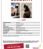 entlaufene Katzen Svg+xml,%3Csvg%20xmlns%3D%22http%3A%2F%2Fwww.w3