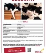 entlaufene Katzen Svg+xml,%3Csvg%20xmlns%3D%22http%3A%2F%2Fwww.w3