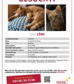 entlaufene Katzen Svg+xml,%3Csvg%20xmlns%3D%22http%3A%2F%2Fwww.w3