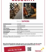 entlaufene Katzen Svg+xml,%3Csvg%20xmlns%3D%22http%3A%2F%2Fwww.w3