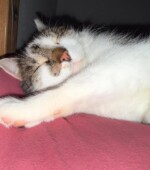 Cookie Sprockhövel Svg+xml,%3Csvg%20xmlns%3D%22http%3A%2F%2Fwww.w3