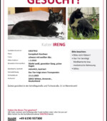 entlaufene Katzen Svg+xml,%3Csvg%20xmlns%3D%22http%3A%2F%2Fwww.w3