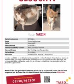 entlaufene Katzen Svg+xml,%3Csvg%20xmlns%3D%22http%3A%2F%2Fwww.w3