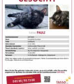 entlaufene Katzen Svg+xml,%3Csvg%20xmlns%3D%22http%3A%2F%2Fwww.w3