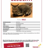 entlaufene Katzen Svg+xml,%3Csvg%20xmlns%3D%22http%3A%2F%2Fwww.w3