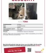 entlaufene Katzen Svg+xml,%3Csvg%20xmlns%3D%22http%3A%2F%2Fwww.w3