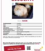 entlaufene Katzen Svg+xml,%3Csvg%20xmlns%3D%22http%3A%2F%2Fwww.w3