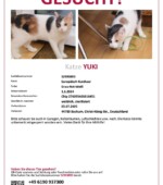 entlaufene Katzen Svg+xml,%3Csvg%20xmlns%3D%22http%3A%2F%2Fwww.w3