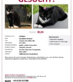 entlaufene Katzen Svg+xml,%3Csvg%20xmlns%3D%22http%3A%2F%2Fwww.w3