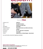 entlaufene Katzen Svg+xml,%3Csvg%20xmlns%3D%22http%3A%2F%2Fwww.w3