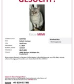 entlaufene Katzen Svg+xml,%3Csvg%20xmlns%3D%22http%3A%2F%2Fwww.w3