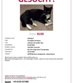 entlaufene Katzen Svg+xml,%3Csvg%20xmlns%3D%22http%3A%2F%2Fwww.w3