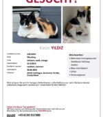 entlaufene Katzen Svg+xml,%3Csvg%20xmlns%3D%22http%3A%2F%2Fwww.w3