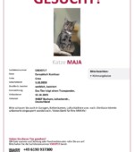 entlaufene Katzen Svg+xml,%3Csvg%20xmlns%3D%22http%3A%2F%2Fwww.w3