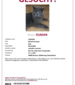 entlaufene Katzen Svg+xml,%3Csvg%20xmlns%3D%22http%3A%2F%2Fwww.w3