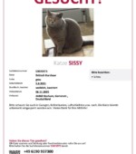 entlaufene Katzen Svg+xml,%3Csvg%20xmlns%3D%22http%3A%2F%2Fwww.w3