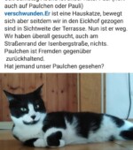 entlaufene Katzen Svg+xml,%3Csvg%20xmlns%3D%22http%3A%2F%2Fwww.w3