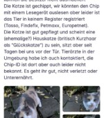 gefundene Katzen Svg+xml,%3Csvg%20xmlns%3D%22http%3A%2F%2Fwww.w3