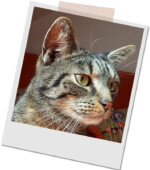 1928721318