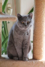 Simon und Miss Möple Svg+xml,%3Csvg%20xmlns%3D%22http%3A%2F%2Fwww.w3