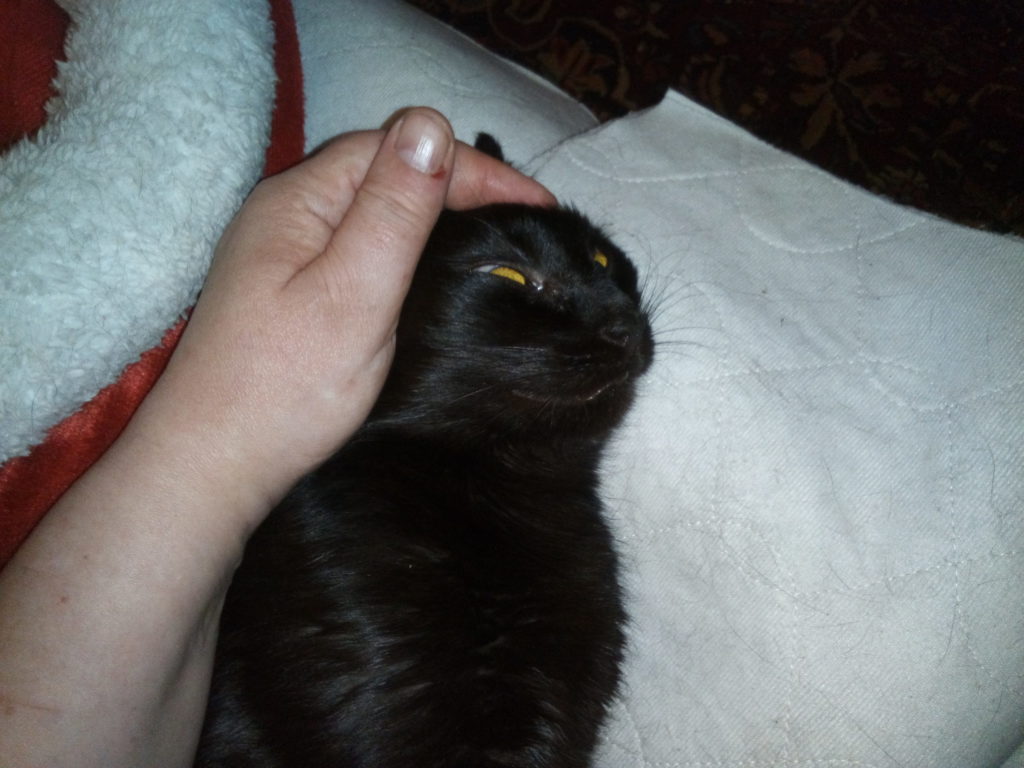 IMG 20200426 205559 Scaled 1024x768