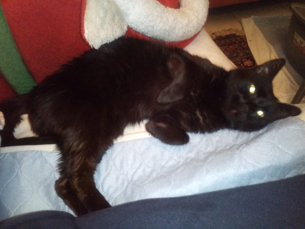 IMG 20200504 222308 Scaled 1024x768