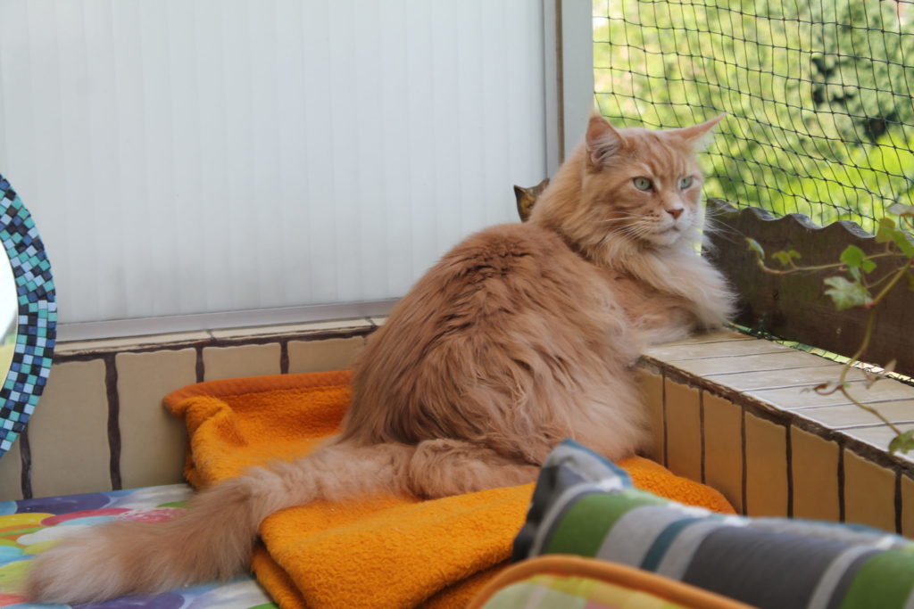 IMG 5209 Scaled 1024x683