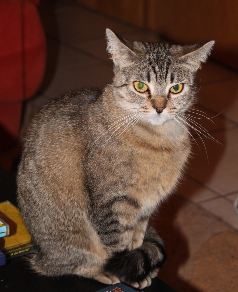 Mimi Antenne Scaled 836x1024