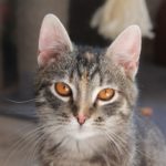 IMG 7450 Scaled 150x150